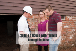 Selling a House With Termite Damage in Boise